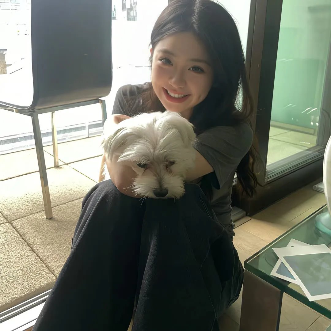 反叛的鲁路修R2